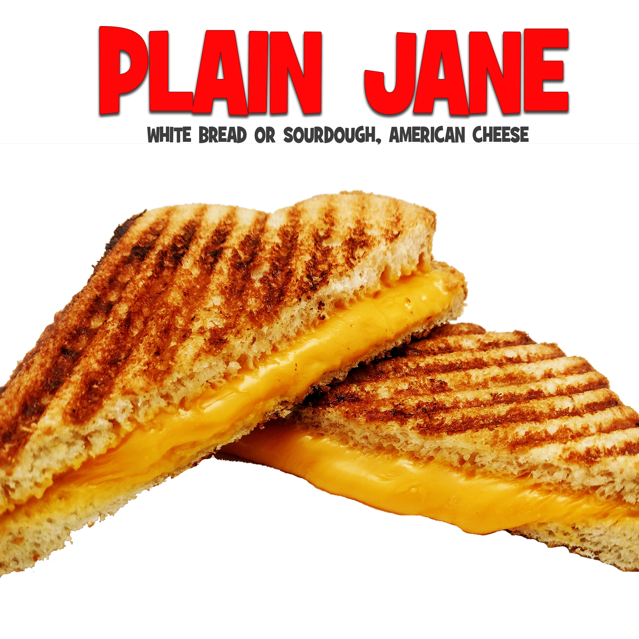 Plane Jane 